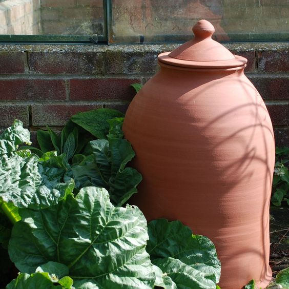 rhubarb-forcer-hen-and-hammock-gardenista