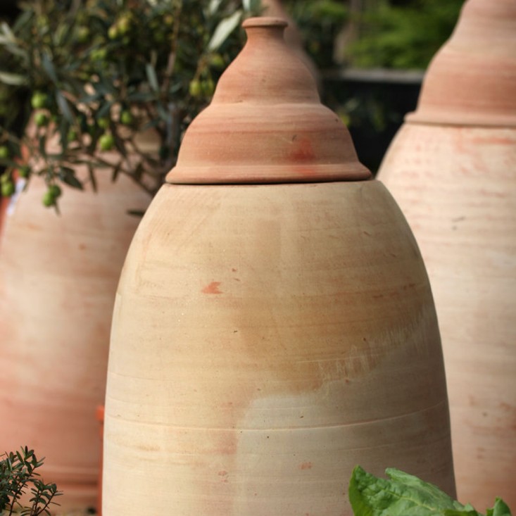 large-rhubarb-forcer-jar-gardenista