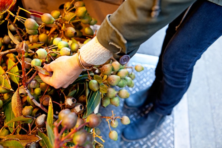 nyc-flower-market-11-rebecca-baust-gardensita