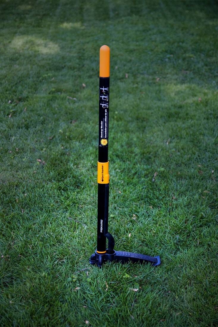 A Weeders Arsenal, Fiskars standup weeder, by Justine Hand for Gardenista