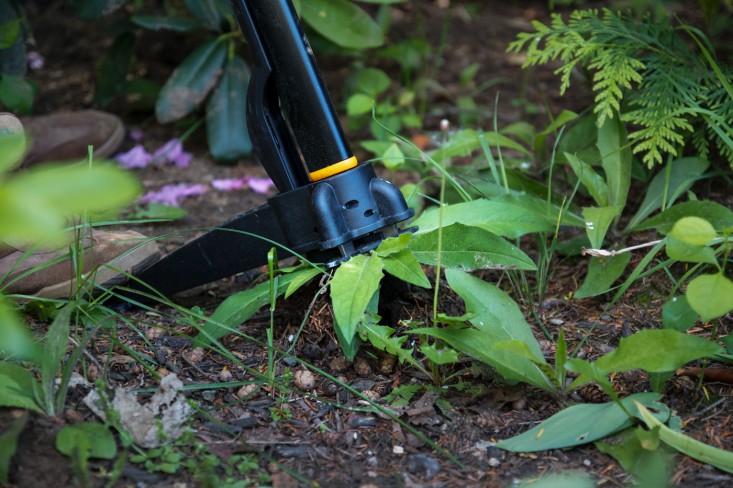 A Weeders Arsenal, Fiskars standup weeder detail, by Justine Hand for Gardenista