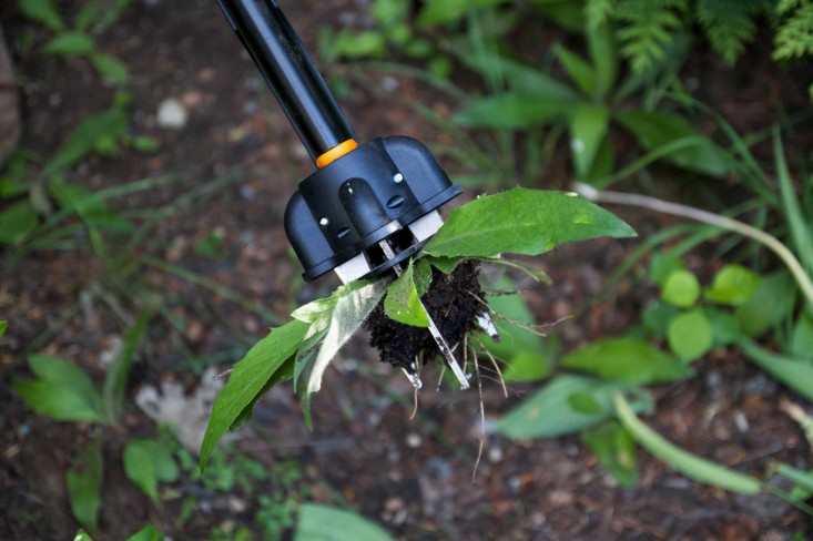 A Weeders Arsenal, Fiskars standup weeder detail 2, by Justine Hand for Gardenista