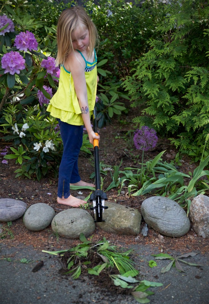 A Weeders Arsenal, may daughter Fiskars standup weeder, by Justine Hand for Gardenista