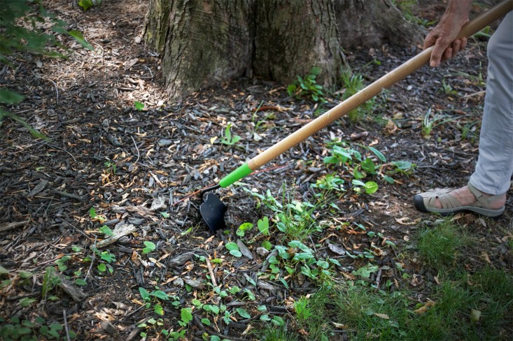 A Weeders Arsenal, hoe, by Justine Hand for Gardenista