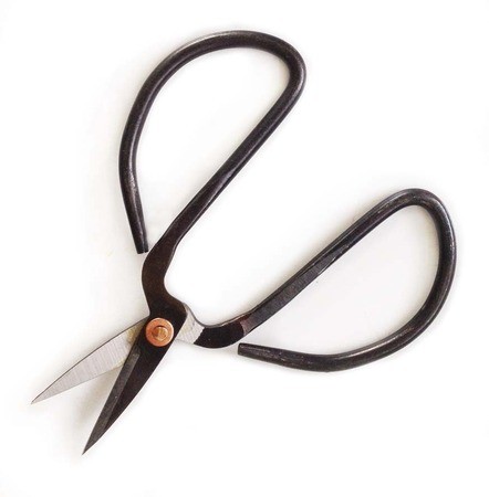 nutscene-small-garden-scissors-snips-gardenista