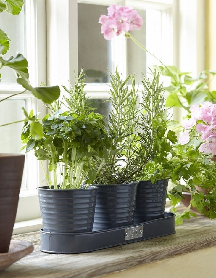 cropped-herb-pots-windowsill-gardenista