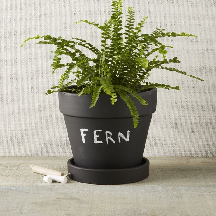 chalkboard-planter-west-elm-gardenista