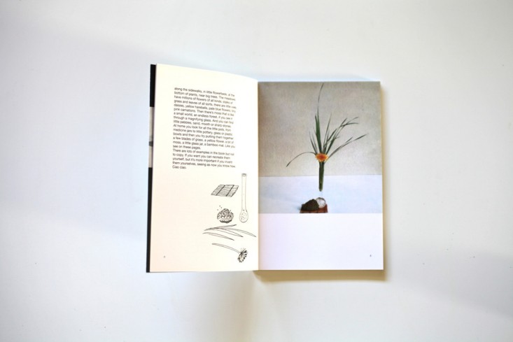 bruno-munari-a-flower-with-love-gardenista