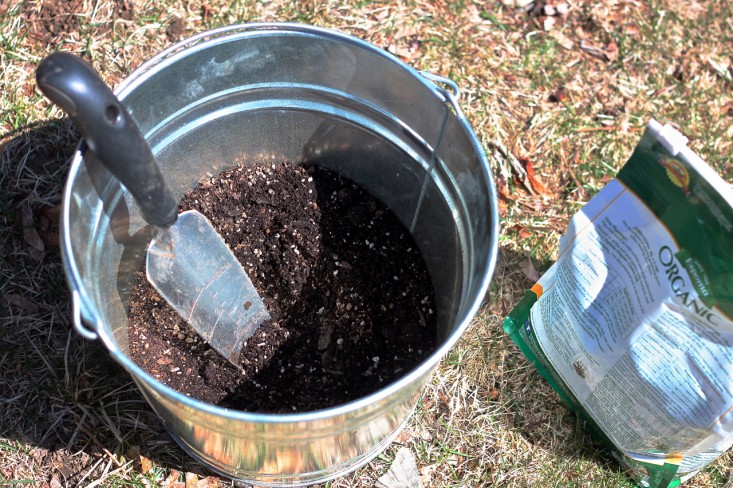 planting a black pussy willow by Justine Hand, fertilizer, Gardenista