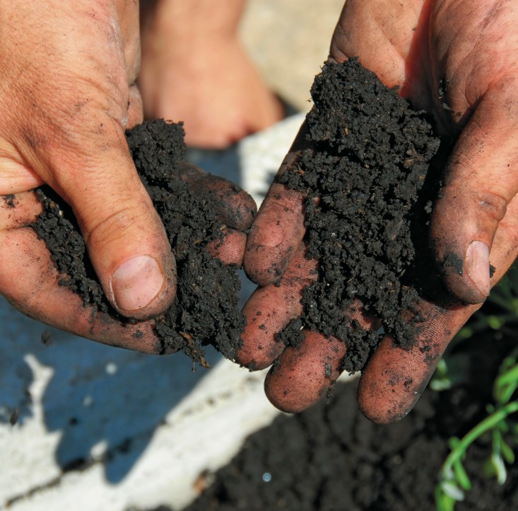 how-to-improve-garden-soil-3-gardenista