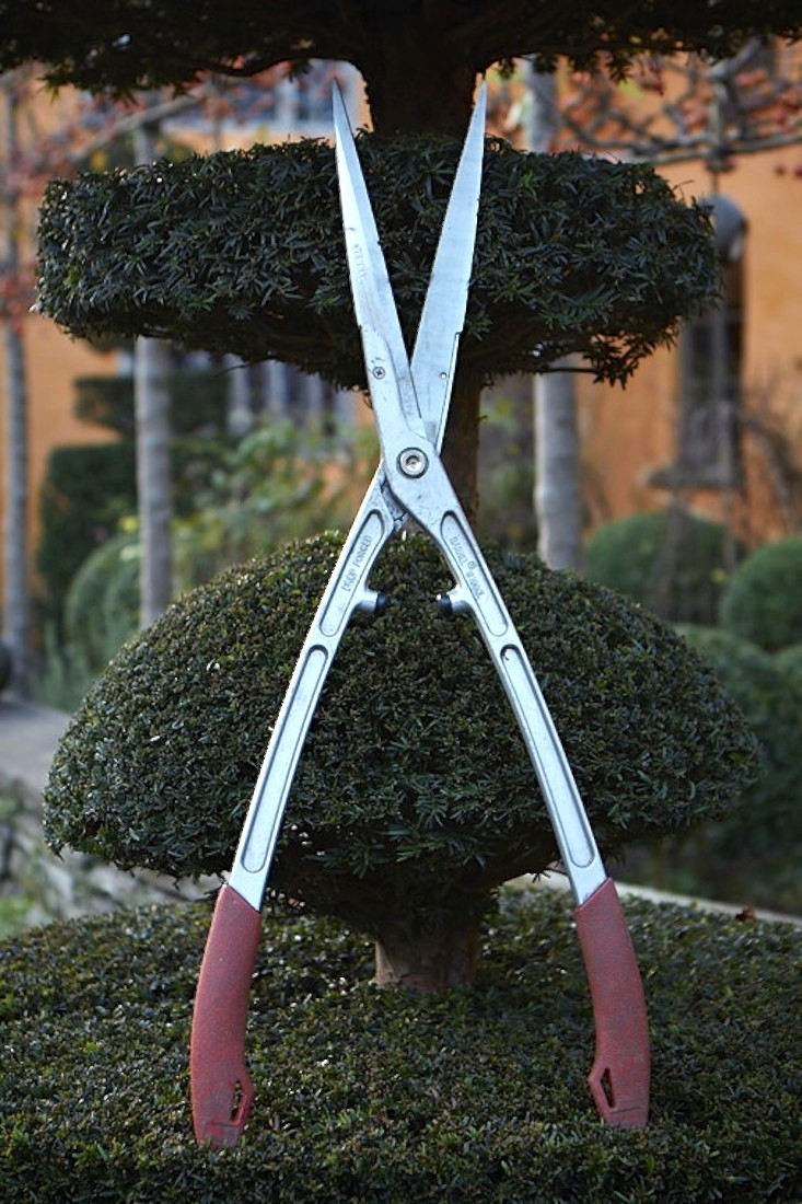 barnel_shears_britt_willoughby_dyer-gardenista