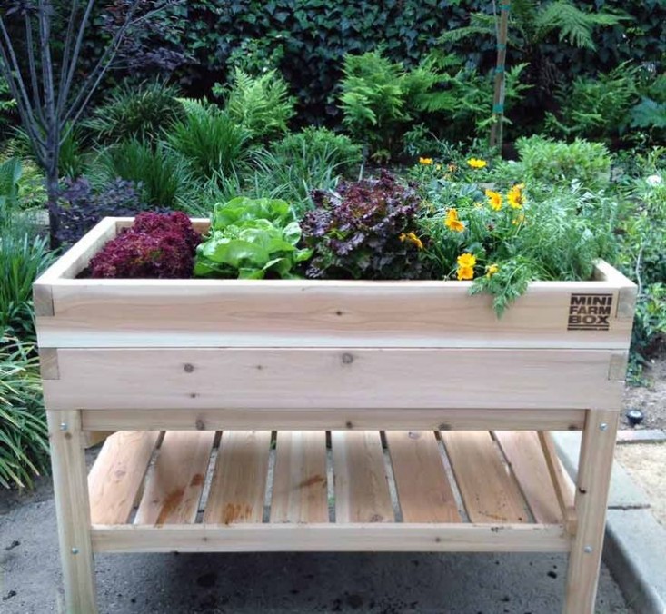 elevated-raised-bed-tabletop-garden-minifarm-box-gardenista
