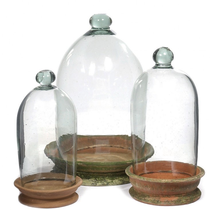 terrariums-terra-cotta-bases-hand-blown-glass-gardenista