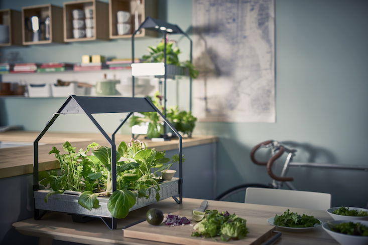 ikea_krydda_vaxer_hydroponics_gardening_kit_gardenista_11349