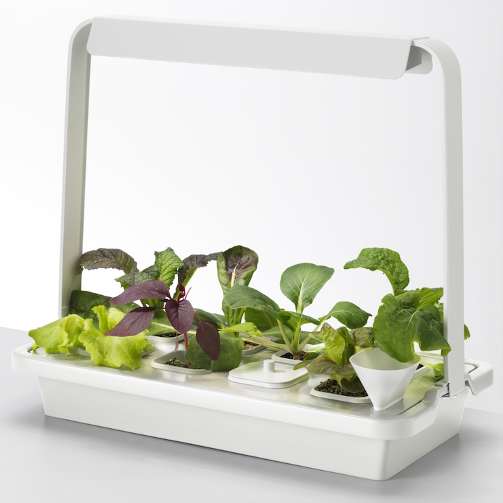 ikea_krydda_vaxer_hydroponics_gardening_kit_gardenista_11423