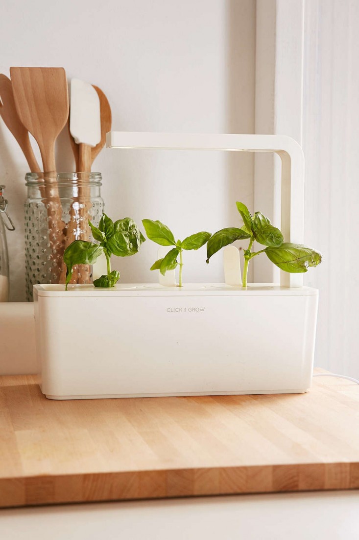indoor-herb-garden-countertop-click-and-grow-gardenista