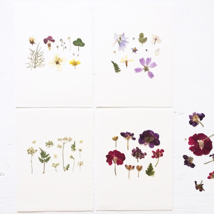 pressed-flower-artworks-1-mr-studio-london-gardenista