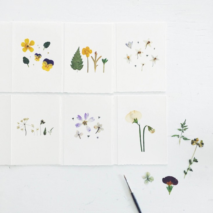 pressed-floewr-cards-gardenista