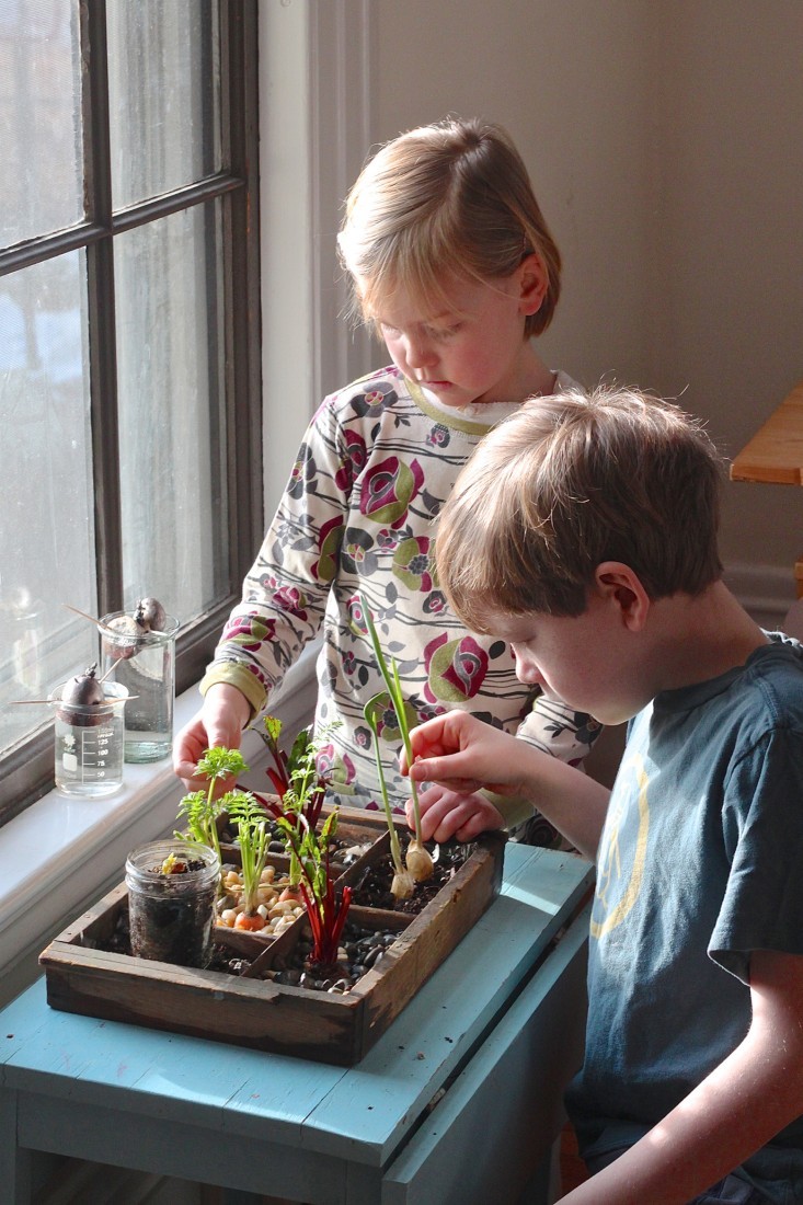 Compost Garden and kids-733x1100