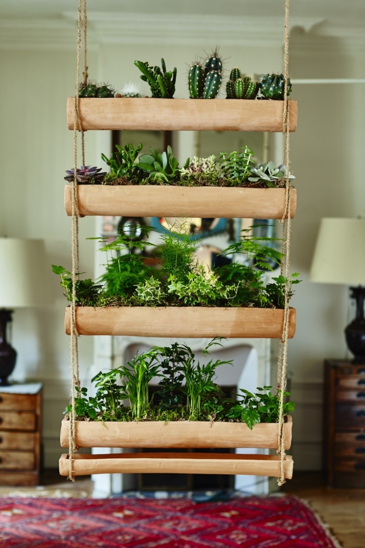 hanging-planter-botany-folk-gardenista