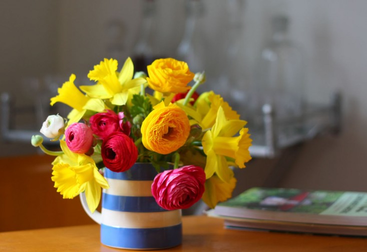 daffodils_ranunculus_marie viljoen_gardenista