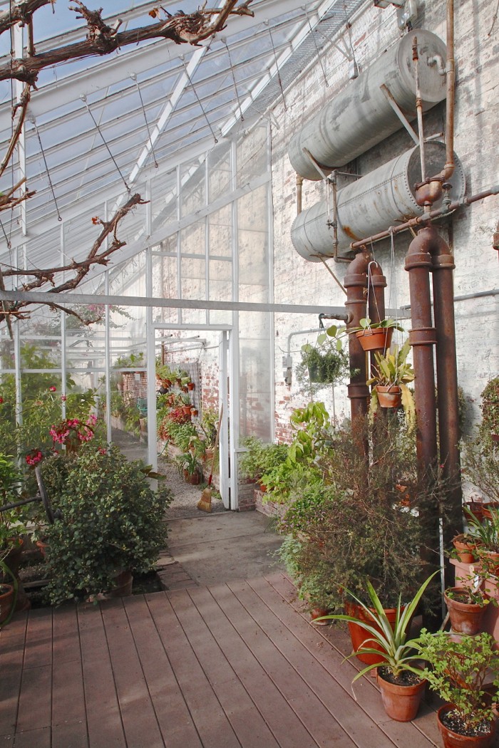 Lyman Estate Greenhouses, pipes grape house 2