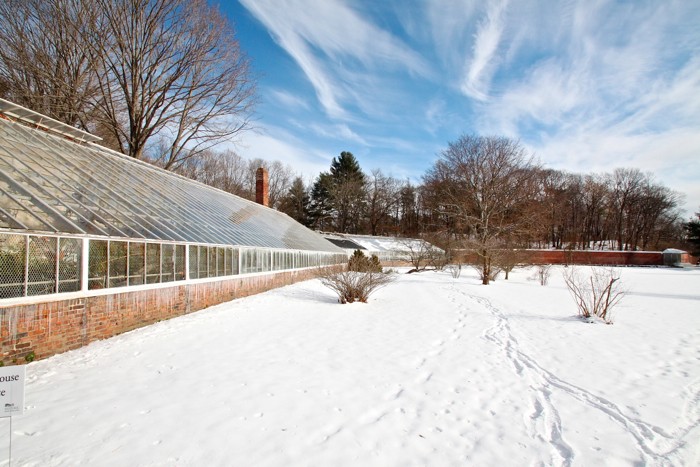 Lyman Estate Greenhouses, peach wall