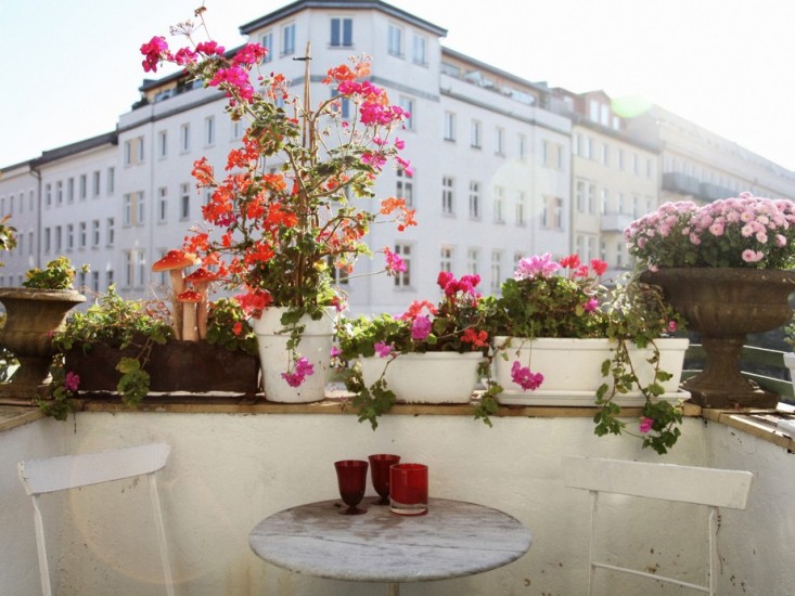 berlin-balcony-garden-feunde-von-vreunden-gardenista-1