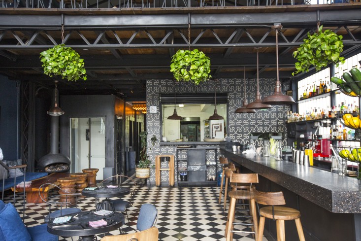 wallpaper and hanging ferns at romita restaurant in mexico city by mimi giboin for gardenista