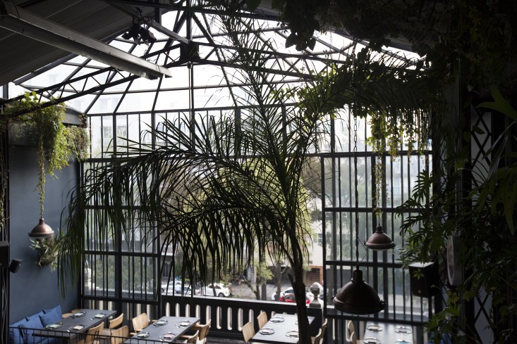 conservatory at romita restaurant in mexico city by mimi giboin for gardenista