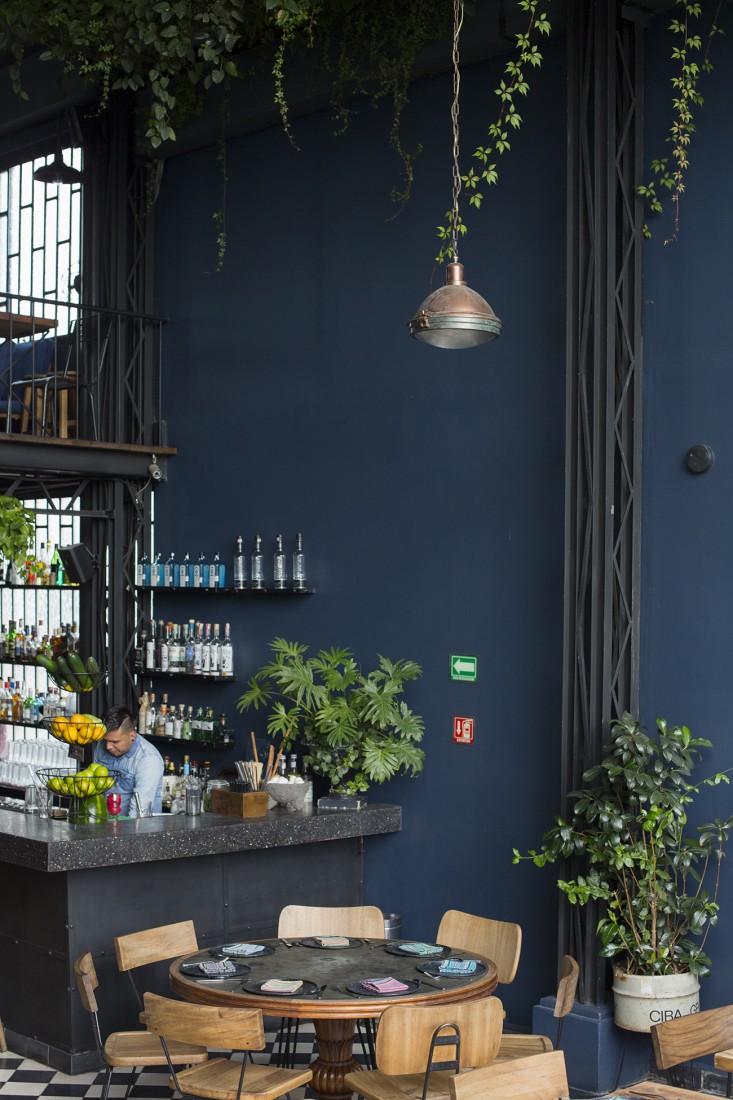 bar at romita restaurant in mexico city by mimi giboin for gardenista