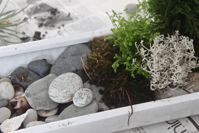 desktop zen garden, layering, Gardenista