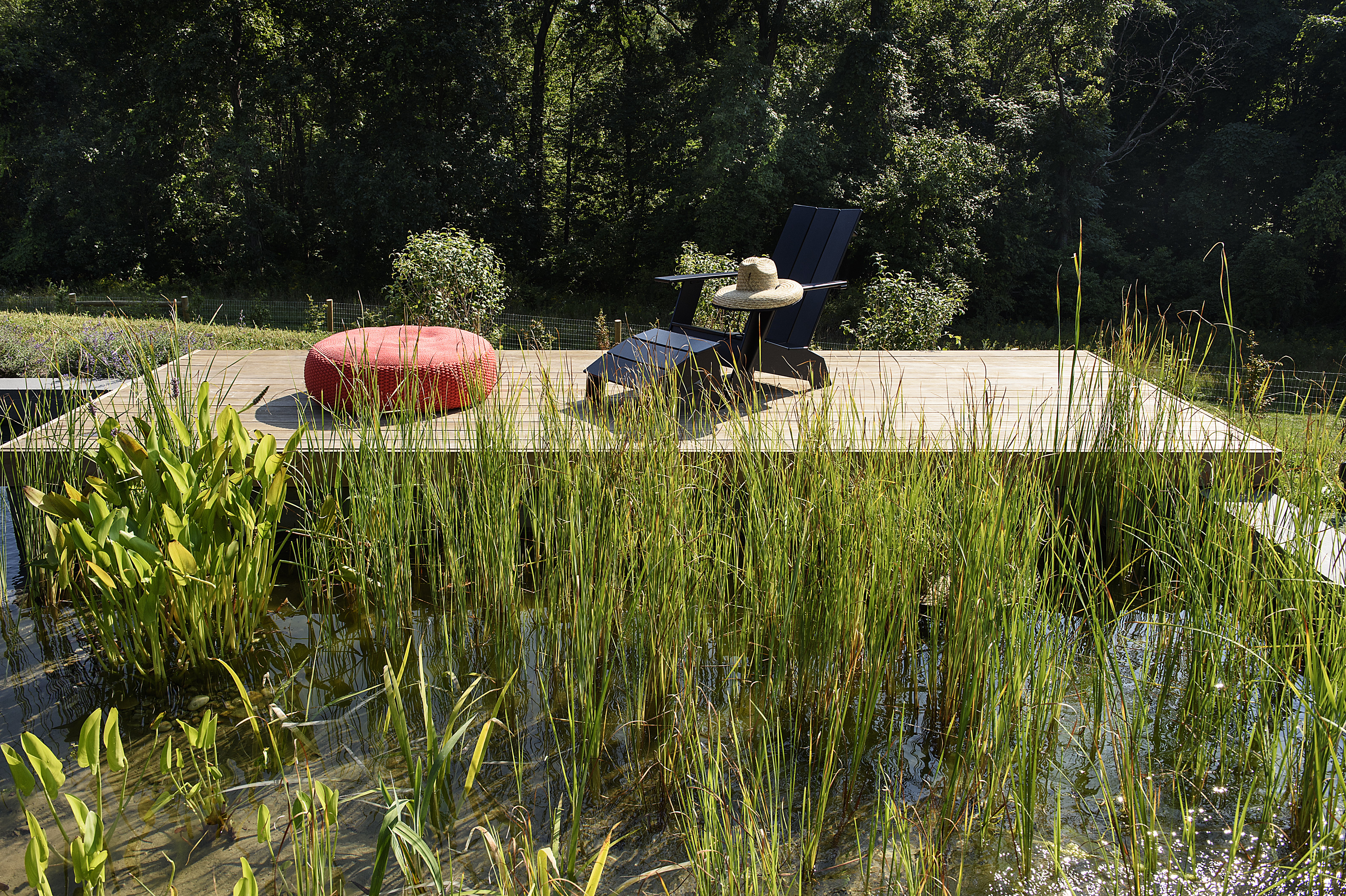 barlis-wedlick-reeds-grasses-platform-deck-swimming-pool-loll-gardenista