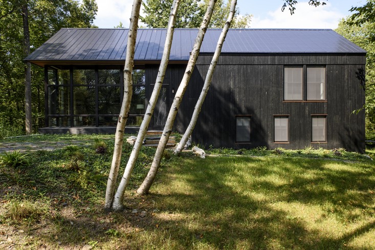 barliswedlick-passive-house-birch-trees-porch-gardenista