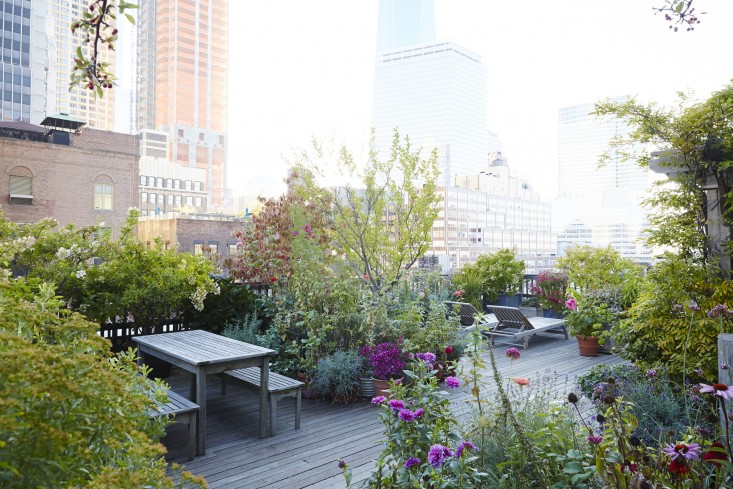 manhattan-roof-garden-outdoor-furniture-perennials-gardenista