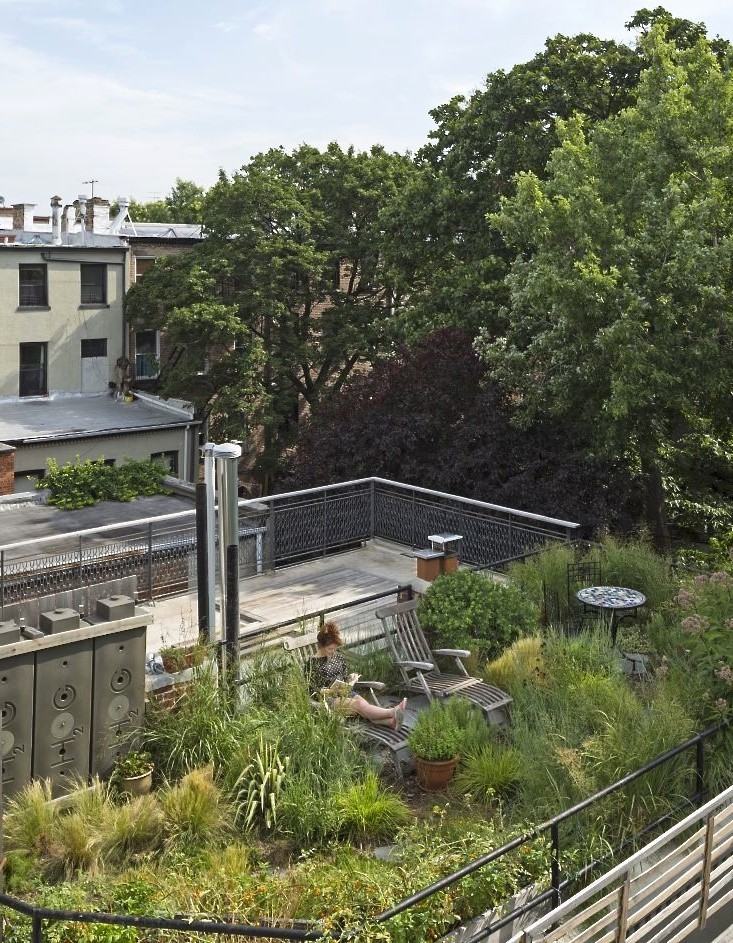 roof-garden-fort-greene-brooklyn-alive-structures-1-gardenista_0