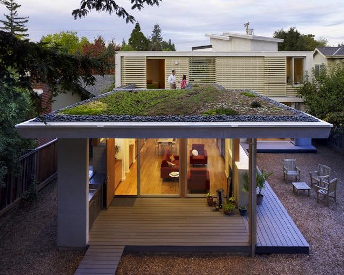 green-roof-garden-feldman-architecture-gardenista