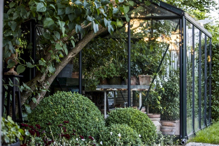 mette-krull-greenhouse-topiary-boxwood-9-gardenista