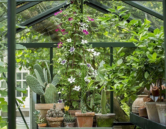mette-krull-greenhouse-pots-terra-cotta-cactus-cacti-gardenista