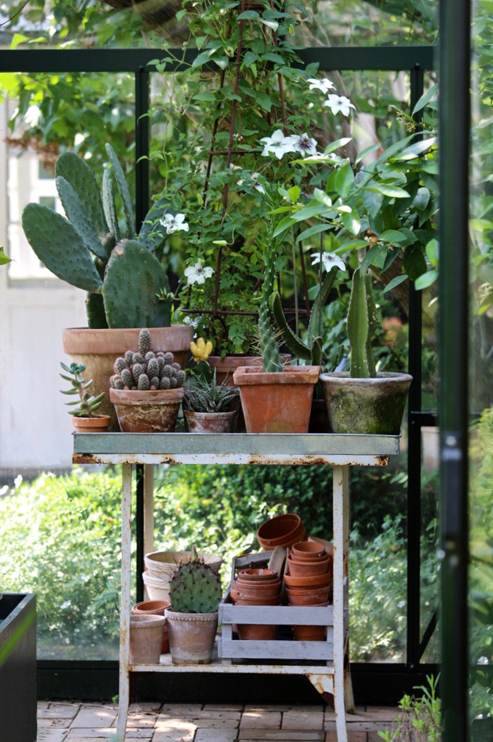 mette-krull-greenhouse-potting-table-terra-cotta-pots-cactus-cacti-4-gardenista (1)