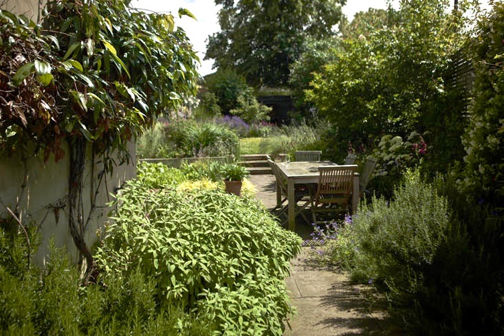 london-backyard-dining--catriona-andrews-garden-gardenista)