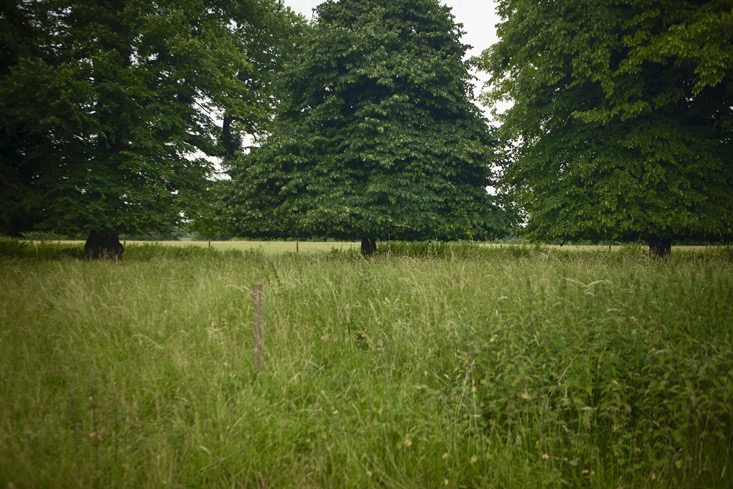 capability-brown-burghley-gardenista