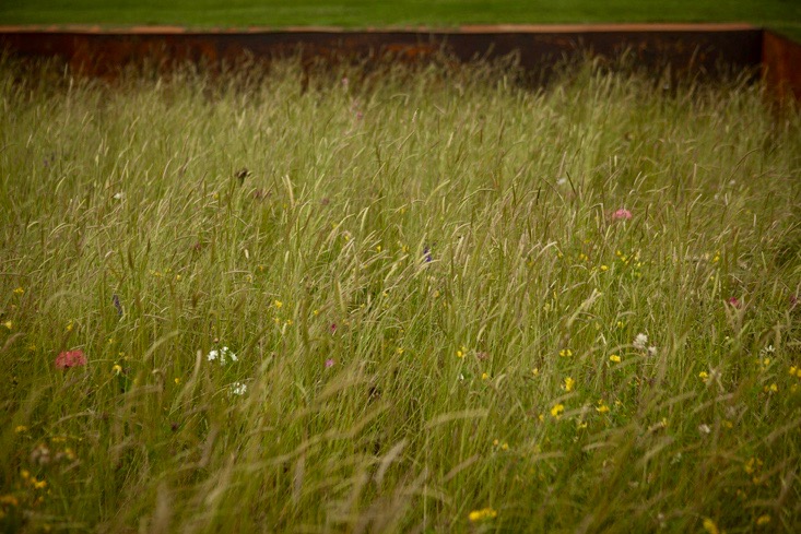 capability-brown-gardens-hampton-court-gardenista