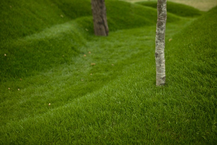 capability-brown-gardens-4-hampton-court-gardenista