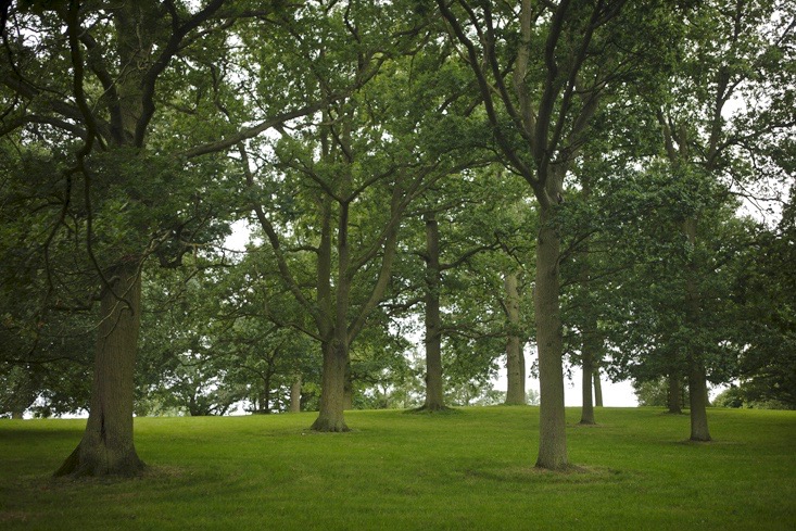 capability-brown-burghley-2-gardenista