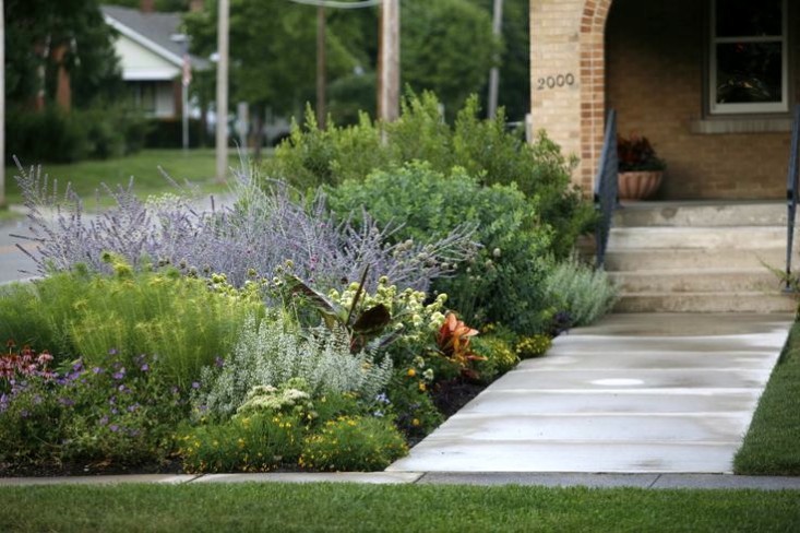 curb-appeal-perennial-grasses-illinois-front-yard-garden-gardenista-2