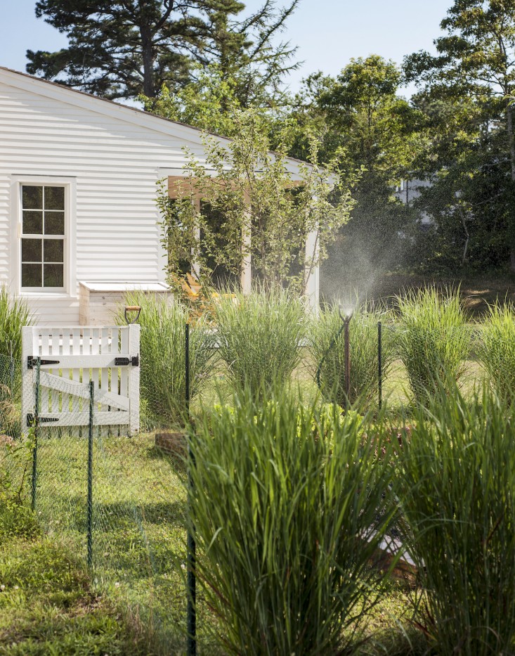 Wellfleet-Sheila-Narusawa-Garden-4-gardenista