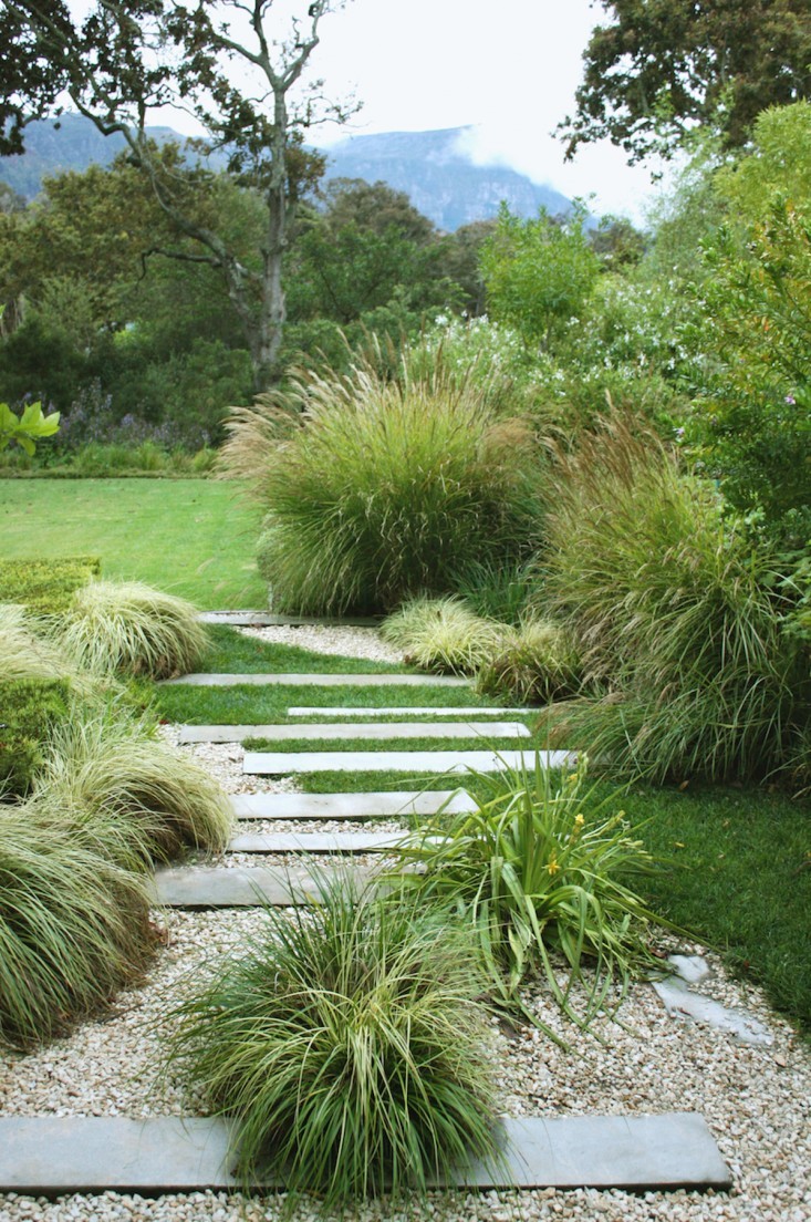 south-africa-garden-grasses-boxwood-gardenista