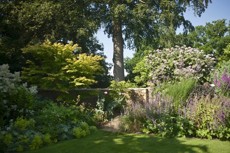 lessons-learned-oxfordshire-stone-wall-garden-beds-euphorbia-jim-powell (1)