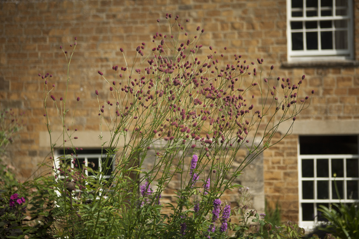 lessons-learned-oxfordshire-11-photo-jim-powell